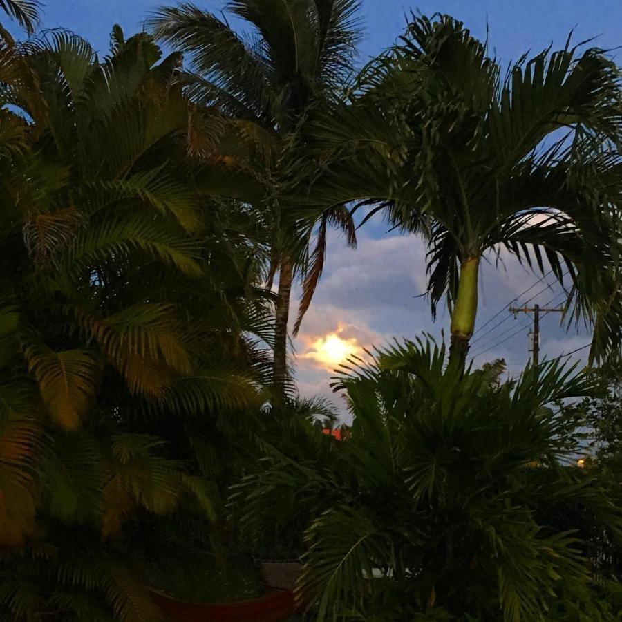 Honu'Ea International Hostel Kauai Kapa'a Dış mekan fotoğraf